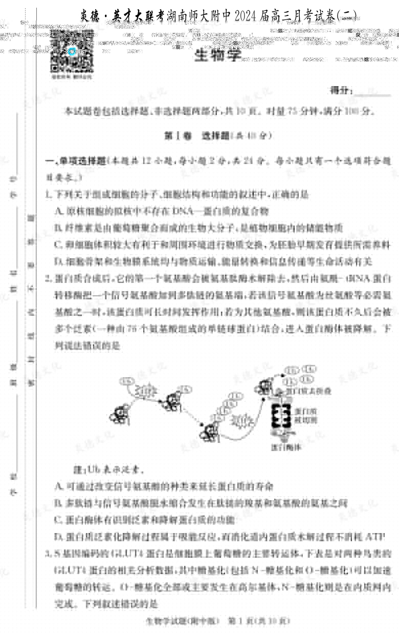 [生物]炎德英才大聯考2024屆湖南師大附中高三2次月考